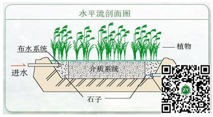 人工湿地及其应用