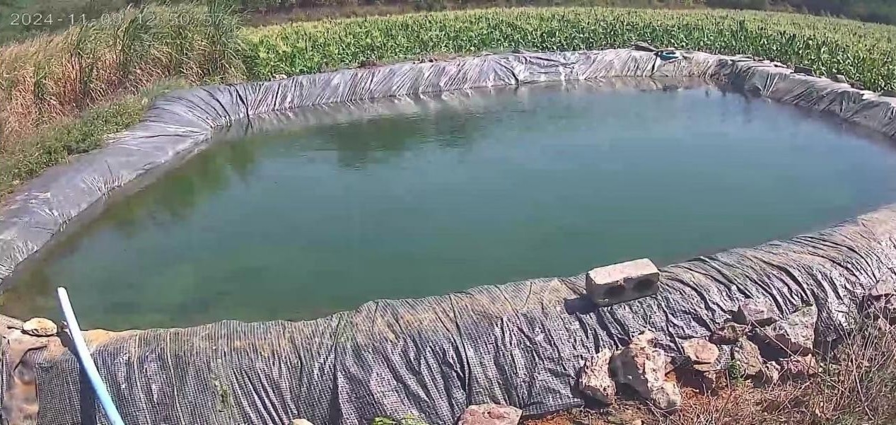 新建储液池现场照片。广西壮族自治区生态环境厅供图