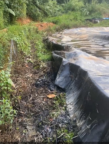 黑膜沼气池沼气排不出来怎么办?